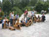 DSCN0976.JPG (27050 byte)